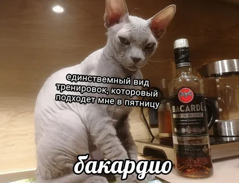 Бакардио по пятницам