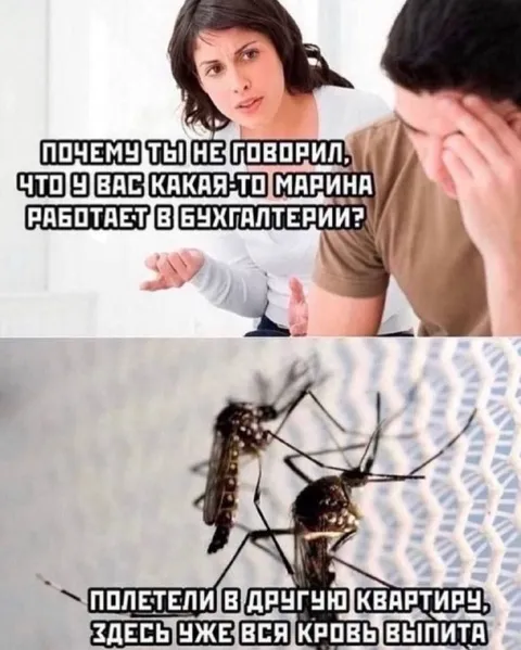 Комары узнали про Марину-бухгалтера