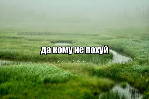 Да кому не похуй