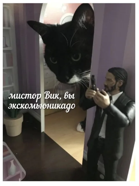 Мистер Вик, вы исключены