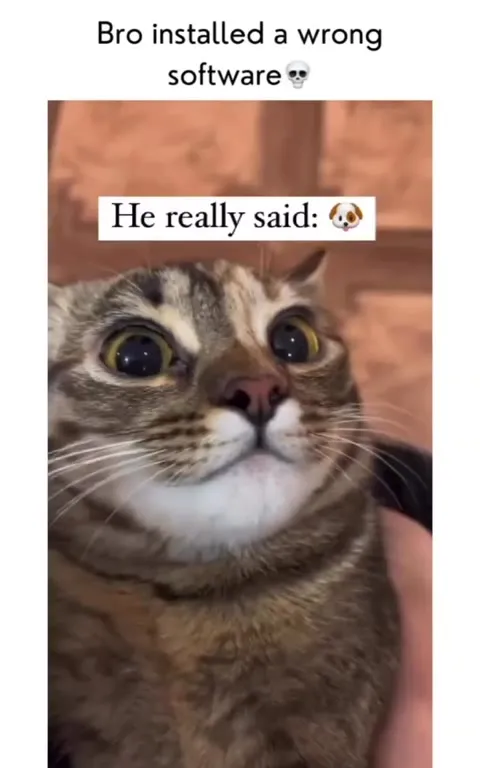 Cat Installed the Wrong Software
