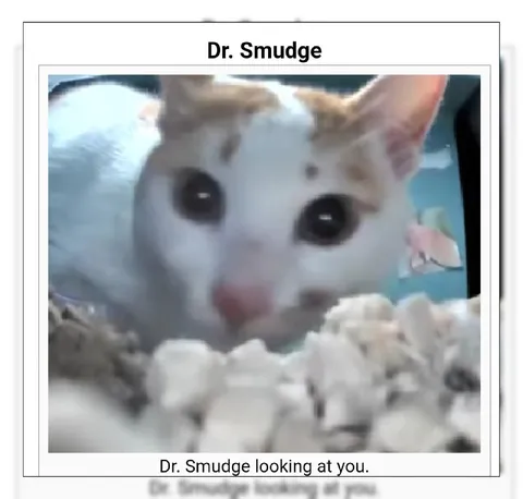 Dr. Smudge Looking at You