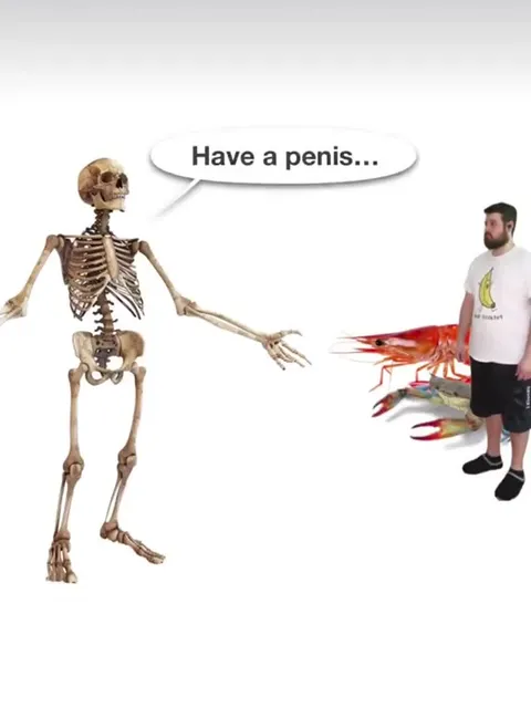Skeleton Dodges the Question