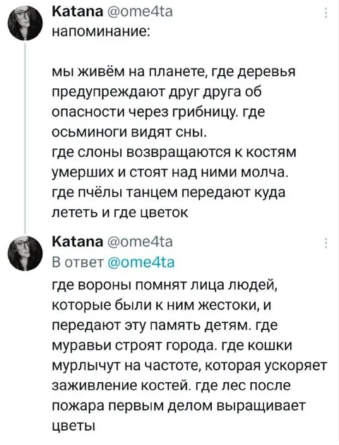 Мы живём на удивительной планете