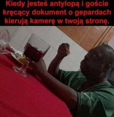 Kiedy jesteś antylopą
