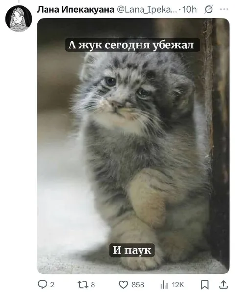 А жук сегодня убежал
