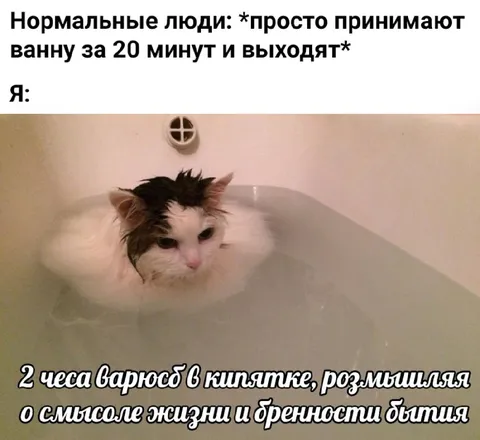 Кот, который слишком долго принимает ванну