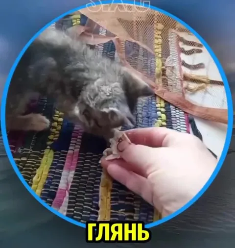 Надя ест мясо