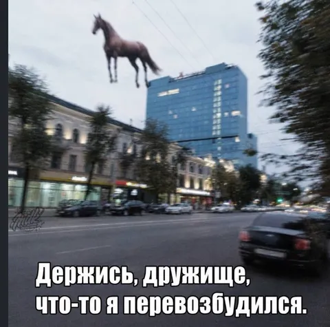 Держись, дружище