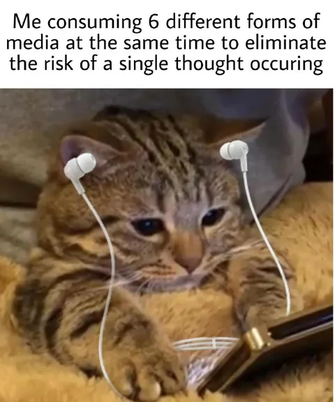 Six Media Sources at Once