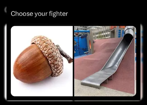Acorn or Slide Fighter