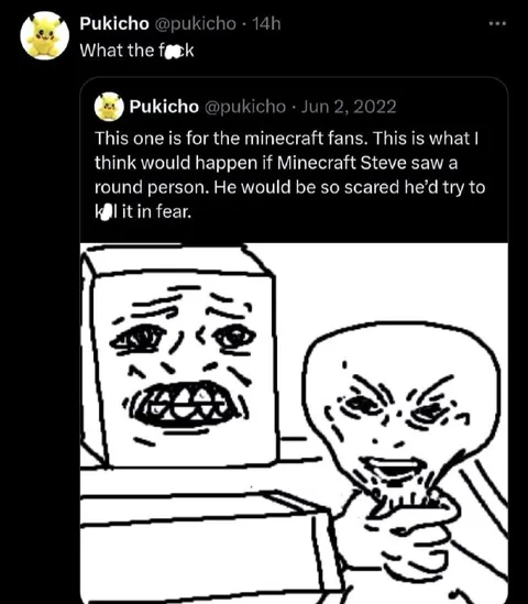 Minecraft Steve Sees a Round Person