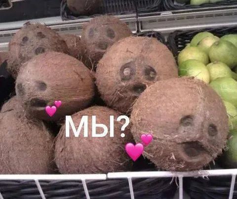 Влюблённые кокосы «Мы?»