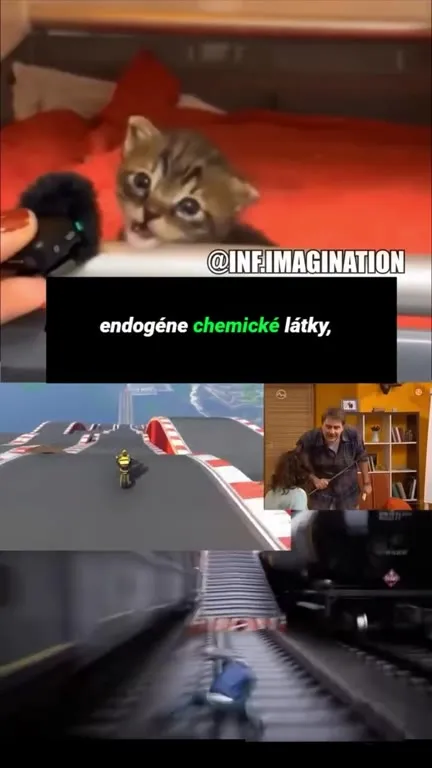 Neurotransmitery na maximálnej jazde
