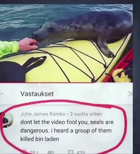 Seal Killed Bin Laden