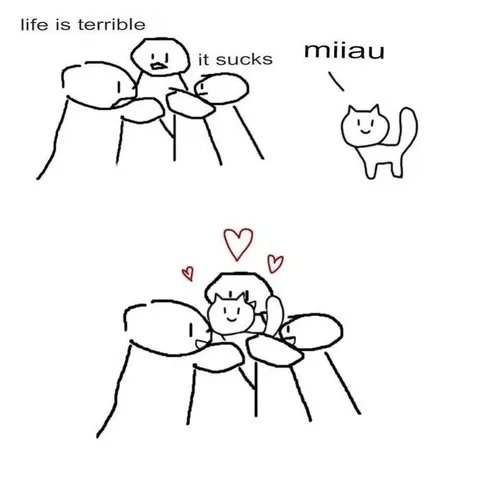 Cat Makes Everything Better