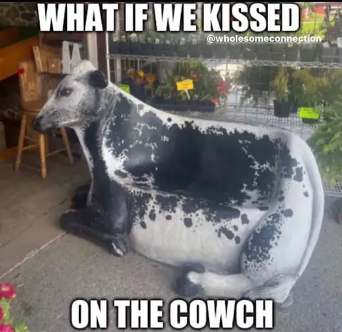What If We Kissed on the Cowch