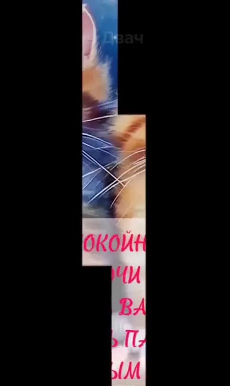 Спокойной ночи с подвохом