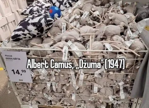 Albert Camus skata žurkas