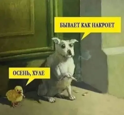 Осень, хуле — как накроет