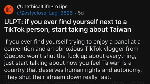 Talking About Taiwan Shuts TikTokers Up