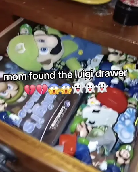 Mom Found the Luigi Drawer