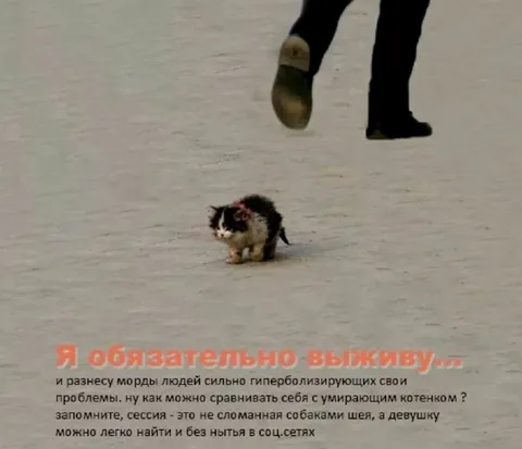 Я обязательно выживу, котёнок