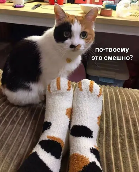 По-твоему это смешно?