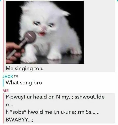 White Kitten Singing Into Microphone