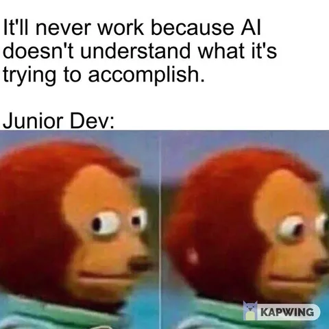 Junior Developer Side-Eye