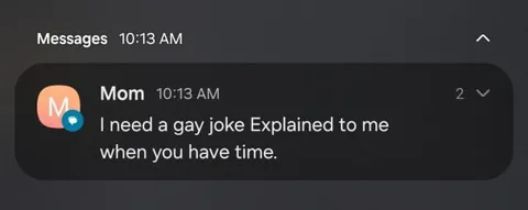 Mom Needs a Gay Joke Explained