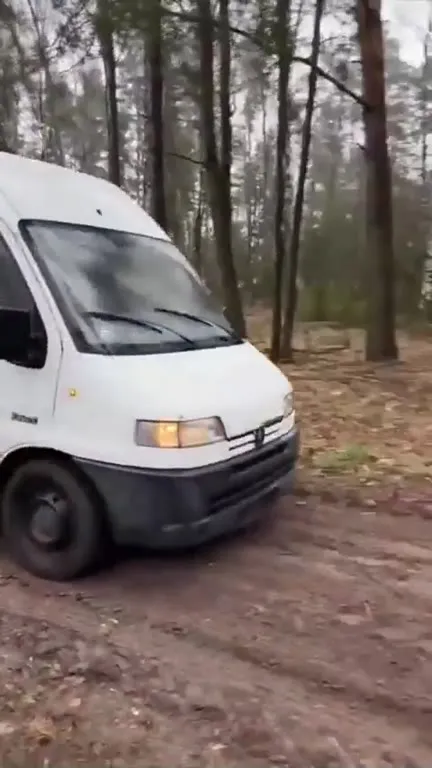 Белый фургон в лесу