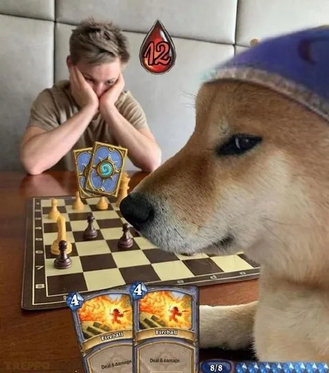 Doge Has Lethal Damage
