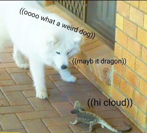 Dog Thinks Lizard Is Dragon