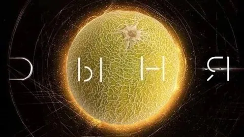 Зеркальная дыня