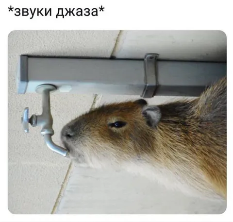 Звуки джаза у крана