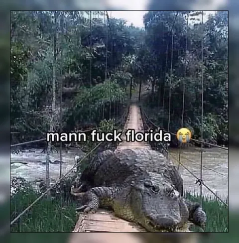 Mann Fuck Florida Alligator