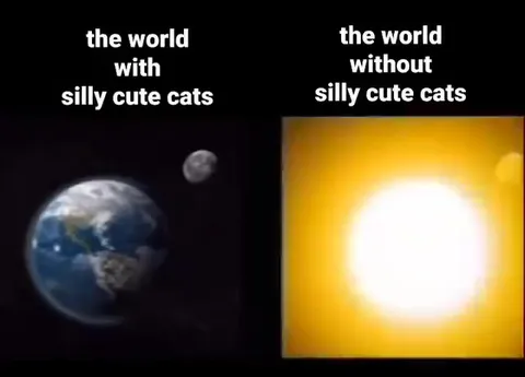 The World Without Cute Cats