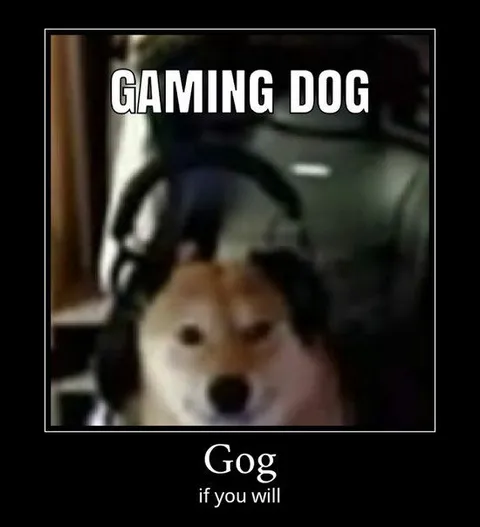 Gaming Dog Gog