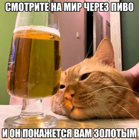 Мир через пиво