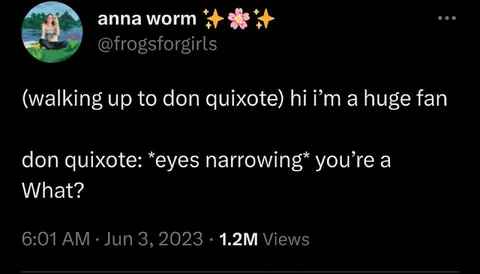 Don Quixote Huge Fan