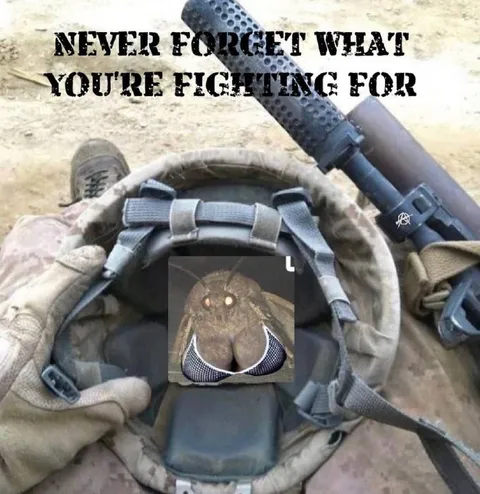 Never Forget What You're Fighting For