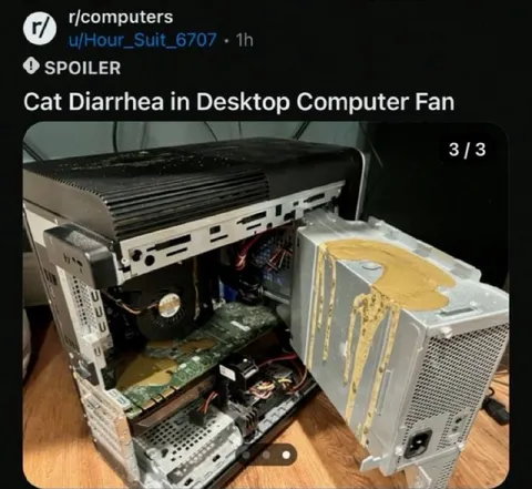 Cat Diarrhea in Desktop Computer Fan