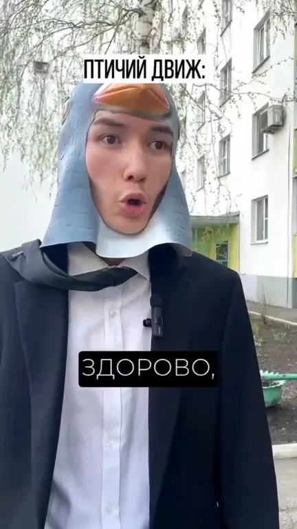 Птичий движ: нормальные пацаны