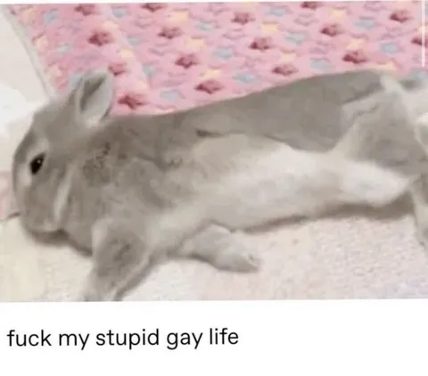 Fuck My Stupid Gay Life