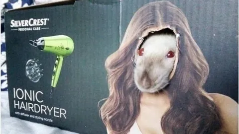 Guinea Pig Hairdryer Model