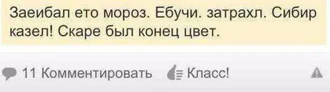 Сибирский мороз достал