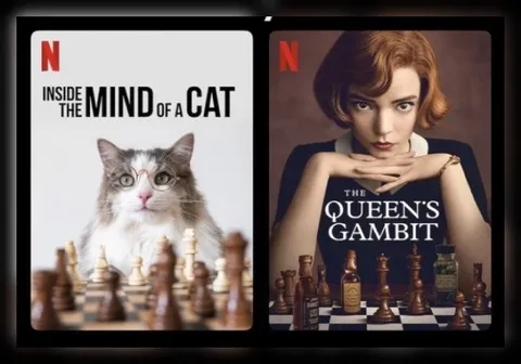 Inside the Mind of a Cat