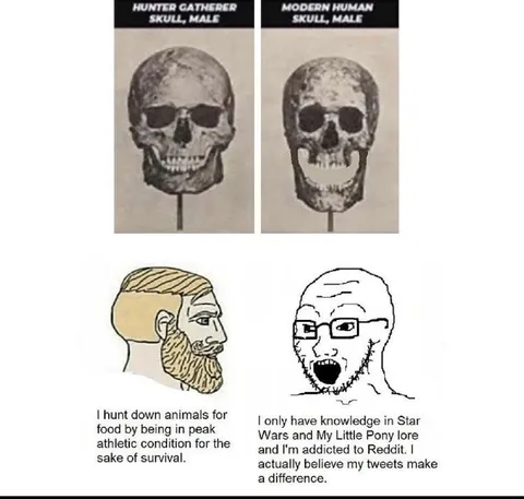 Hunter Gatherer vs Modern Human