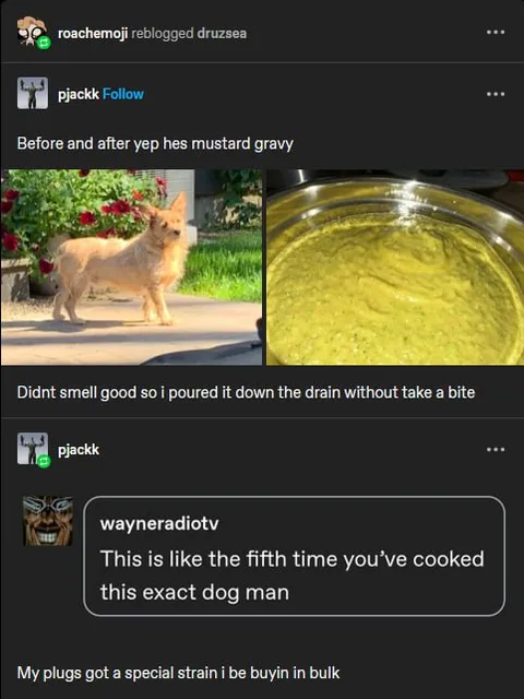 Mustard Gravy Dog Meme
